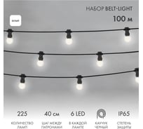 Набор ЕВРО Neon-Night Белт-лайт 2 жилы, 100м, шаг 40см, 225 LED ламп, цвет свечения белый 331-345