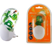 Светодиодный ночник TDM ELECTRIC Лето с датчиком света, 1Вт, 220 В SQ0357-0002