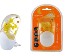 Светодиодный ночник TDM ELECTRIC Осень с датчиком света, 1Вт , 220 В  SQ0357-0003