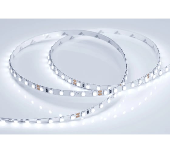 Светодиодная лента Arlight RT 2-5000 24V Cool 8K 5mm 2x5м 015650(B) 1