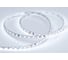 Светодиодная лента Arlight RT 2-5000 24V Cool 8K 5mm 2x5м 015650(B) 1