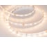 Светодиодная лента Arlight RT 2-5000 24V Warm2700 5м 020013(B) 1