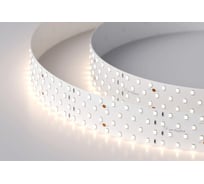 Светодиодная лента Arlight RT 2-2500 24V Day4000 4x2 2,5м 019085(B)