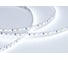 Светодиодная лента Arlight RT 2-5000 12V Cool 8K 5mm 2x5м 015005(B) 1