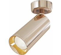 Потолочный светильник MAYTONI Focus C017CW-01RG