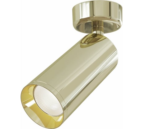 Потолочный светильник MAYTONI Focus C017CW-01G