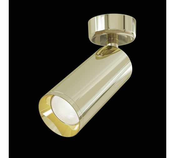 Потолочный светильник MAYTONI Focus C017CW-01G