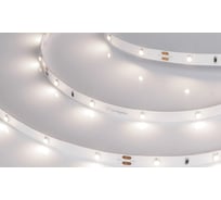 Светодиодная лента Arlight RT 2-5000 24V Day4000 0.5x5м 019918