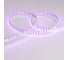 Светодиодная лента Arlight RT 2-5000 24V RGB 8mm 5м 026832 3