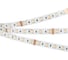 Светодиодная лента Arlight RT 2-5000 24V RGBW-MIX 12mm 5м 026363 5