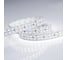 Светодиодная лента Arlight RT 2-5000 24V White6000 2x2 5м 008771(B) 3