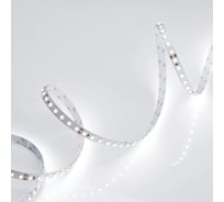 Светодиодная лента Arlight RT 2-5000 24V White6000 2x5м 010347(B)