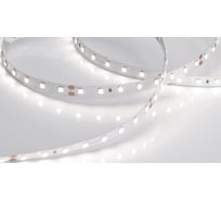 Светодиодная лента Arlight RT 2-5000-50m 24V Day4000 50м 024524(1)
