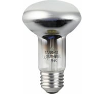 Лампочка ЭРА R63 40Вт E27 / Е27 230В рефлектор C0040648