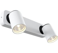 Спот MAYTONI Alliot SP317-CW-02-W