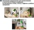 Светильник TDM ELECTRIC настольный, на основании, 60Вт, E27, зеленый SQ0337-0106 7