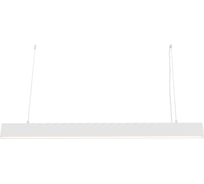 Подвесной светильник MAYTONI Vinder P051PL-L40W4K