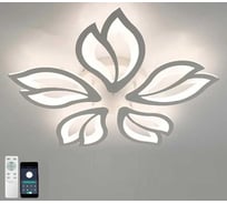 Управляемый светодиодный светильник ESTARES ASTRA 120W 5F УУ000004399