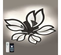 Управляемый светодиодный светильник ESTARES ASTRA 120W 5F-APP черный УУО00004946
