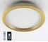 Управляемый светодиодный светильник ESTARES ORIENT ACRYLIC 80W R-APP-510x75-PAINTED GOLD/CLEAR-220-IP40 УУО00003752 1