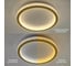 Управляемый светодиодный светильник ESTARES ORIENT ACRYLIC 80W R-APP-510x75-PAINTED GOLD/CLEAR-220-IP40 УУО00003752 2