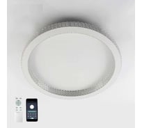 Управляемый светодиодный светильник ESTARES ORIENT ACRYLIC 80W R-APP-510x75-WHITE/CLEAR-220-IP40 УУО00003750