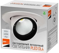 Светодиодный светильник Jazzway встраиваемый PLED DL4 30Вт 4000K белый 24град. поворот IP40 5021907