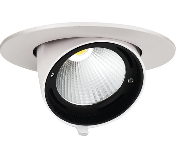 Светодиодный светильник Jazzway встраиваемый PLED DL4 30Вт 4000K белый 24град. поворот IP40 5021907