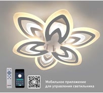 Управляемая светодиодная люстра ESTARES AIDA double 80W 6F-APP-550x90-WHITE/WHITE-220-IP20 УУО00004376