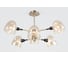 Люстра Rivoli Camila, P6, золото, сатин, E146, 40W Б0044512 4