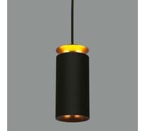 Светодиодный стационарный светильник Elektrostandard DLS021 9+4W 4200К черный матовый/золото a045504