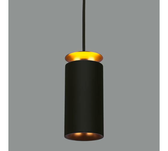 Светодиодный стационарный светильник Elektrostandard DLS021 9+4W 4200К черный матовый/золото a045504