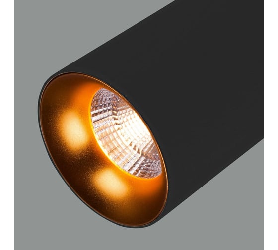 Светодиодный стационарный светильник Elektrostandard DLS021 9+4W 4200К черный матовый/золото a045504