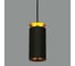 Светодиодный стационарный светильник Elektrostandard DLS021 9+4W 4200К черный матовый/золото a045504 1