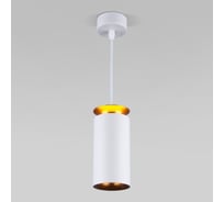 Светодиодный стационарный светильник Elektrostandard DLS021 9+4W 4200К белый матовый/золото a045501