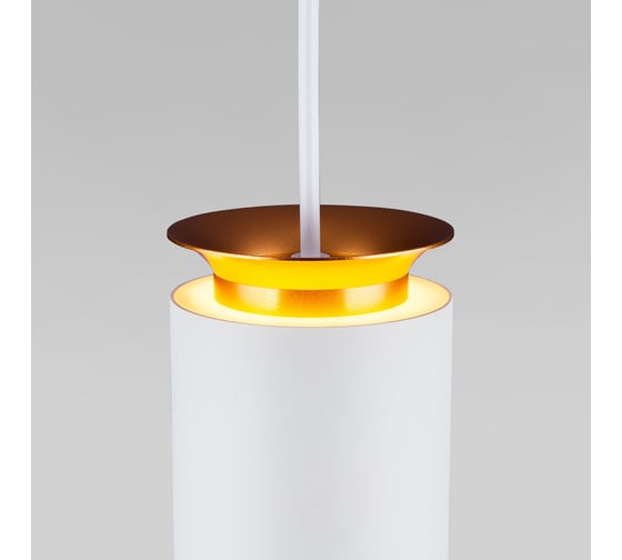 Светодиодный стационарный светильник Elektrostandard DLS021 9+4W 4200К белый матовый/золото a045501