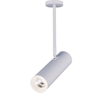 Светодиодный стационарный светильник Elektrostandard DLS022 9W 4200K белый матовый a045505