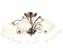 Люстра Rivoli 2031308 Giardino S8 AB 8хE14 40W Б0038453