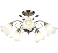 Люстра Rivoli 2031305 Giardino S5 AB 5хE14 40W Б0038452
