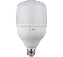 Светодиодная лампа ЭРА LED, POWER, T120, 40W, 6500, E27, 40Вт, E27, колокол, холодный белый Б0047644