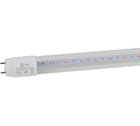 Лампа красносинего спектра ЭРА FITO9WRBТ8G13NL Б0042986