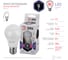 Светодиодная лампа ЭРА LED A60 9W 860 E27 диод, груша, 9Вт, холодный, Б0032248 5