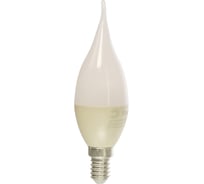 Светодиодная лампа ЭРА LED BXS6W865E14 R, свеча на ветру, 6Вт, холодный, E14 Б0045344