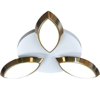 Люстра Benetti LED Fregata золото, 24Вт, диммируемая с ПУ, 3000K/4000K/6000K, LED-040-20-00-03/C