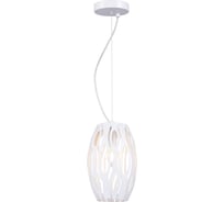 Подвес Rivoli 1015206 Profo P1 белый 1хE14 40W Б0044361