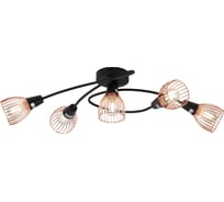Люстра Rivoli 7010305 Insolito S5 CP 5хE14 40W Б0038133