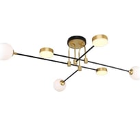 Потолочная люстра F-promo complesso 3095-6P