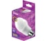 Лампа светодиодная RITTER A60 Е27 16W, 2700K 32402 7 3