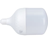 Светодиодная лампа RSV RSV-HP-50W-6500K-E27 100312
