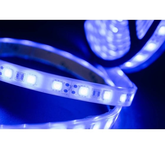 Светодиодная закрытая лента SWG 14,4 Вт/м SMD5050 60 диодов на метр IP68 Цвет Синий 12В 00-00001848